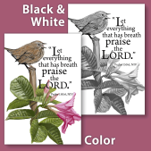 Bulletin Cover Design showing the black and white and color version side by side